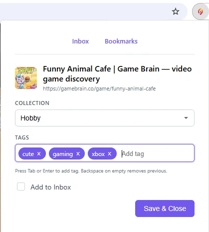 Browser Extension Popup